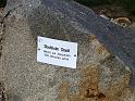 2012-10-07,_Nochten (55)